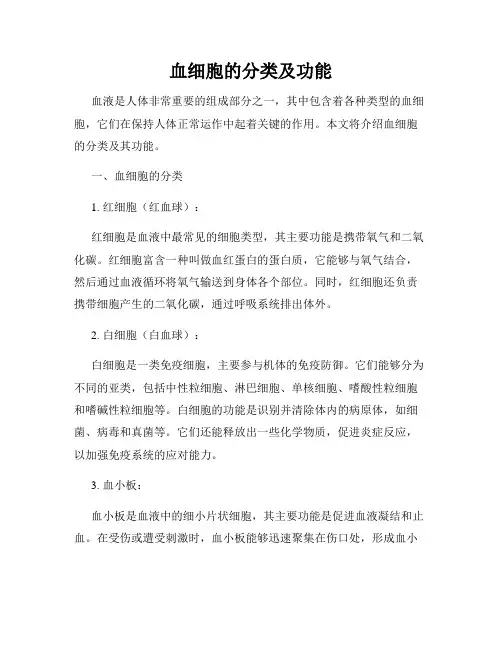血细胞的分类及功能