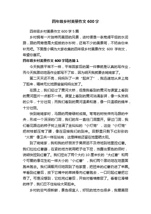 四年级乡村美景作文600字