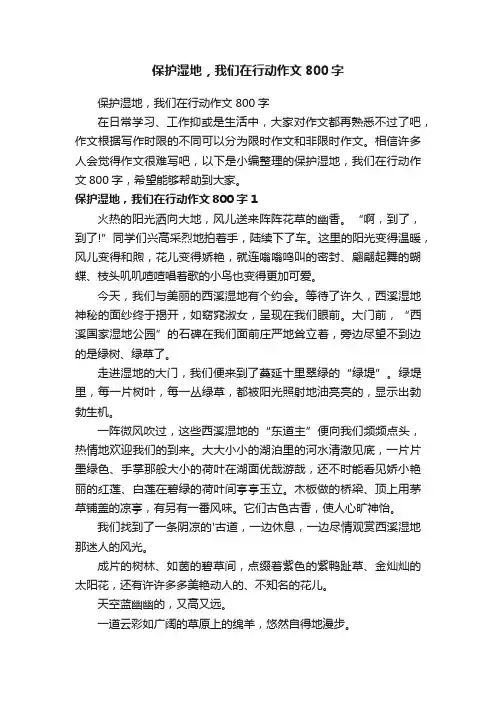 保护湿地，我们在行动作文800字