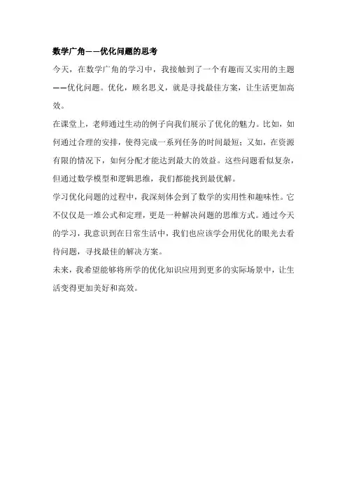 数学广角一一优化数学曰记300字