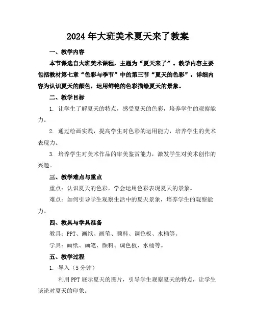 2024年大班美术夏天来了教案