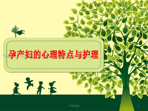 孕产妇心理护理ppt课件