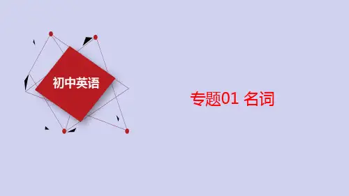 【语法过关】专题01 名词中考英语一轮复习课件