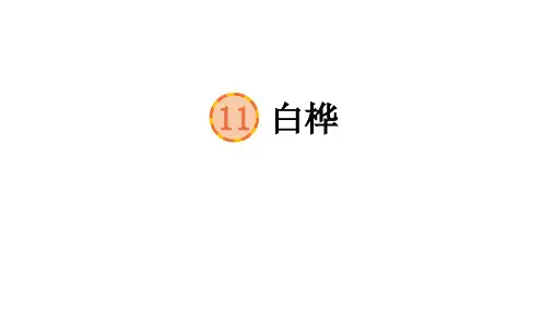 部编版语文四年级下册11白桦课件(38张PPT)