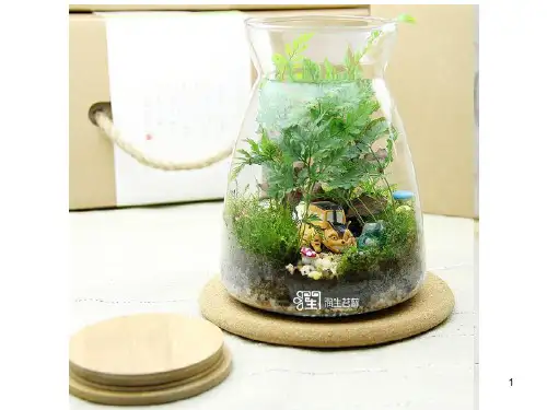 植物微景观 ppt课件
