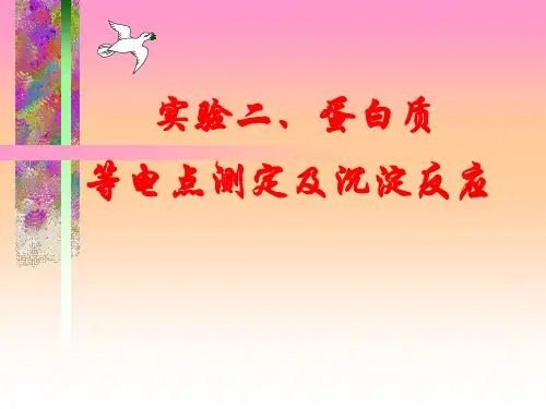 实验二蛋白质的等电点测定和沉淀反应(精)