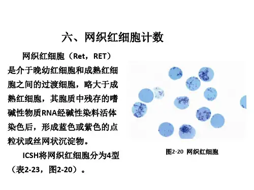 网织红细胞