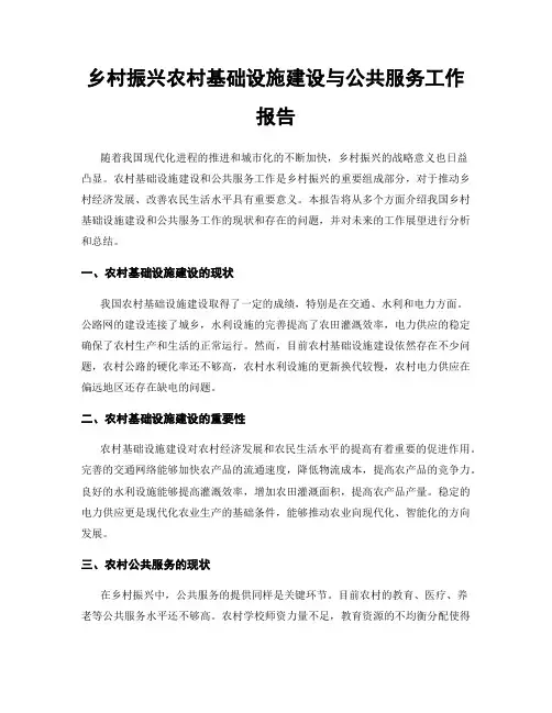 乡村振兴农村基础设施建设与公共服务工作报告
