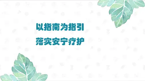 安宁疗护指南及实践