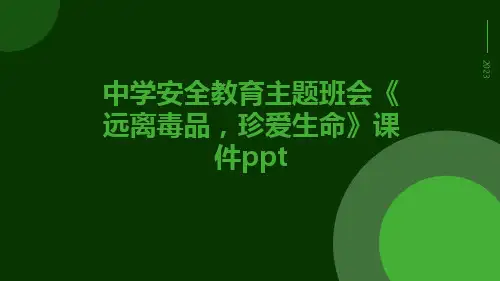 中学安全教育主题班会《远离毒品,珍爱生命》课件ppt