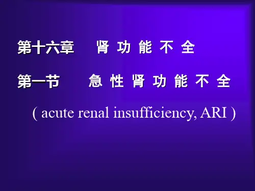 急性肾功能不全 PPT课件