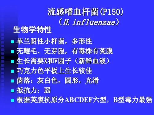 其他细菌