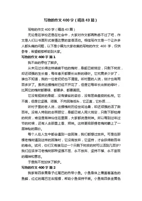 写物的作文400字（精选43篇）