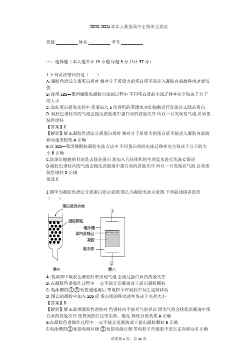 2023-2024学年高中生物人教版选修1专题5 DNA和蛋白质技术单元测试(含答案解析)