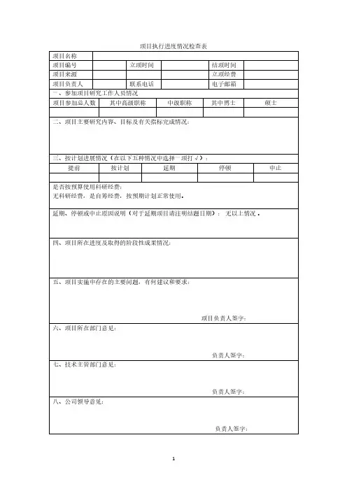 项目执行进度情况检查表(2020年整理).pdf