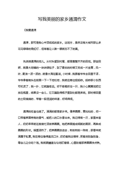 写我美丽的家乡通渭作文