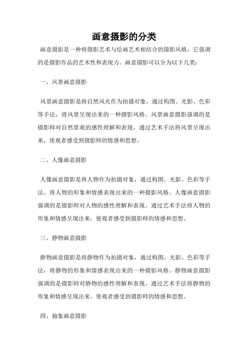 画意摄影的分类