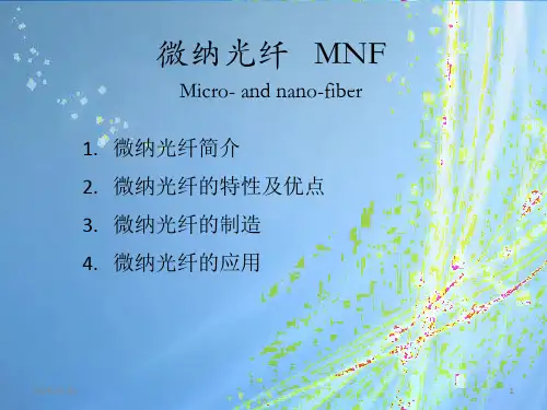 微纳光纤PPT课件