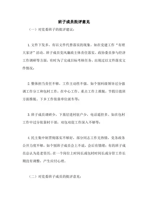 班子成员批评意见