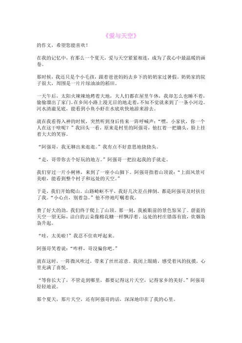 《爱与天空》