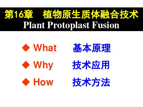 植物原生质体融合技术