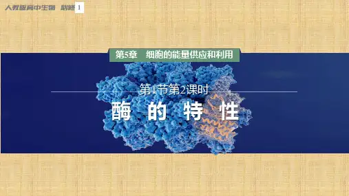 【课件】酶的特性课件2022-2023学年高一上学期生物人教版必修1