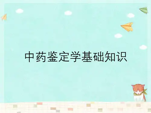 中药鉴定学基础知识