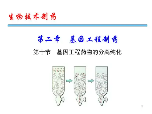 基因工程药物分离纯化