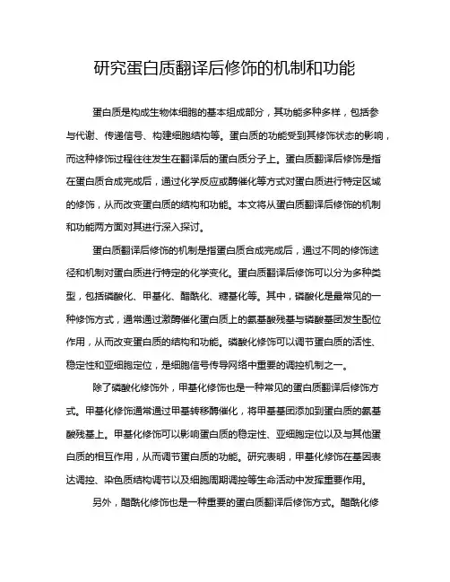 研究蛋白质翻译后修饰的机制和功能