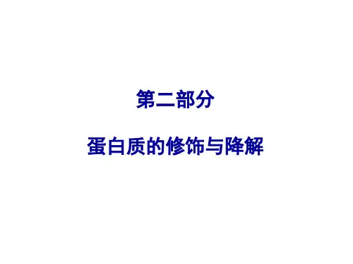 医学分子生物学-2 蛋白质的修饰与降解