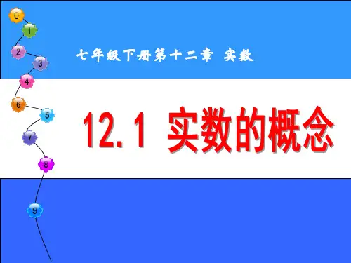 12.1实数的概念