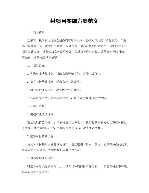 村项目实施方案范文
