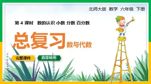 六年级数学下册数的认识小数分数真分数总复习数与代数