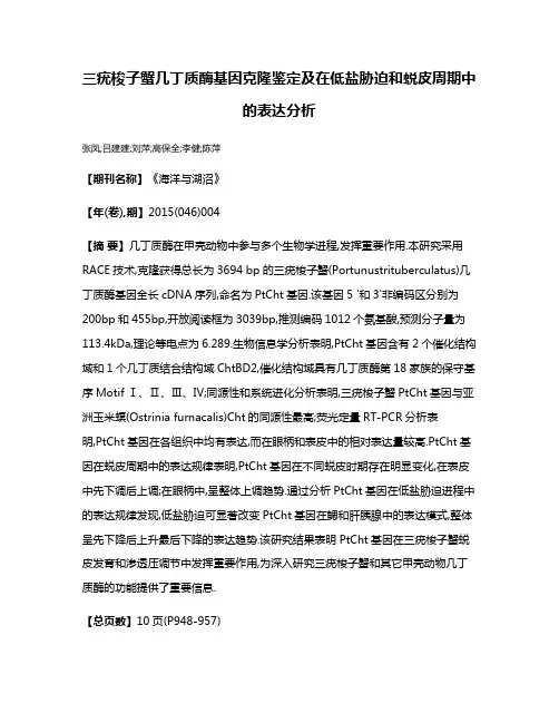 三疣梭子蟹几丁质酶基因克隆鉴定及在低盐胁迫和蜕皮周期中的表达分析