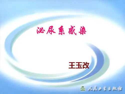 泌尿系感染病人的护理