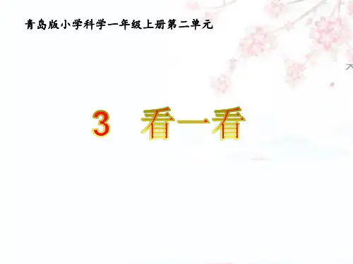 【名师课件】青岛版一年级上册科学 第3课《看一看》ppt课件4