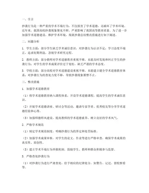抄袭总结整改措施范文