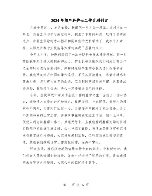 2024年妇产科护士工作计划例文（3篇）
