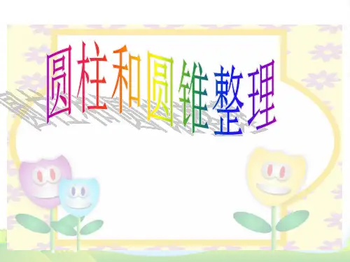 苏教六年级下册数学课件2.9 圆柱和圆锥的整理与复习 (共19张)