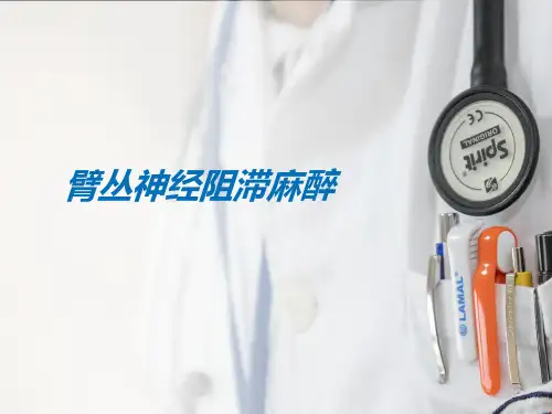 臂丛神经阻滞麻醉【31页】