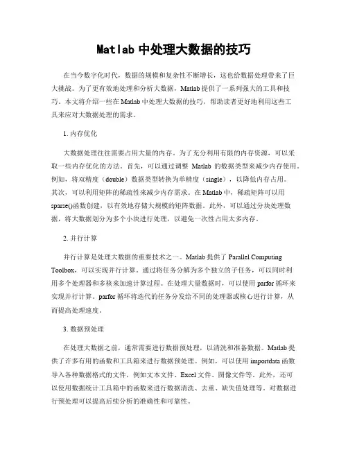 Matlab中处理大数据的技巧