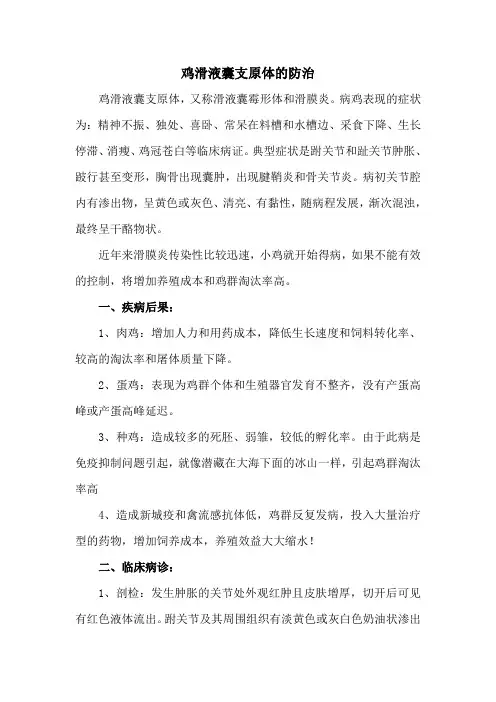 鸡滑液囊支原体的防治