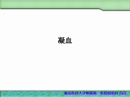凝血PPT课件