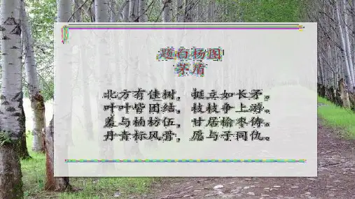 第15课《白杨礼赞》课件(共27张ppt)