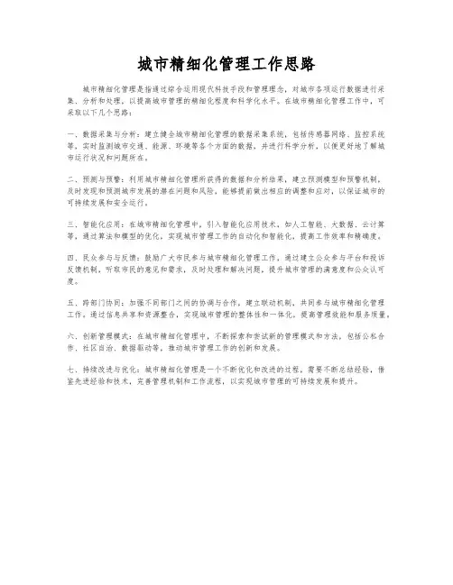 城市精细化管理工作思路