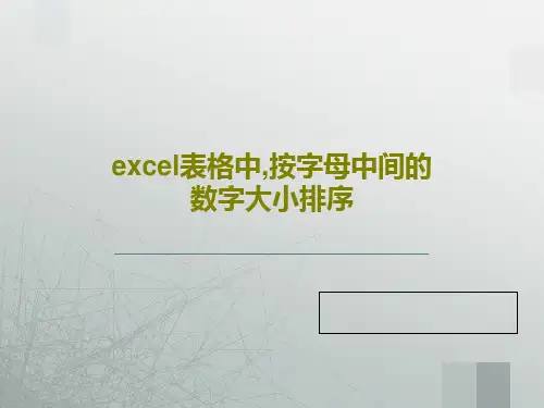 excel表格中,按字母中间的数字大小排序25页PPT