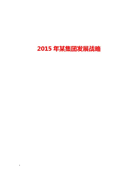 某集团年度发展规划方案