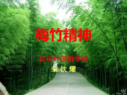 七年级美术上册 梅竹精神课件 湘教版