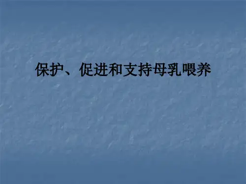 保护、促进和支持母乳喂养ppt课件