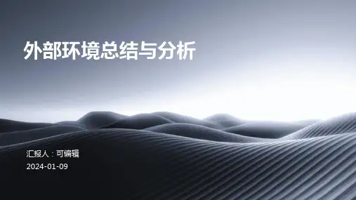 外部环境总结与分析